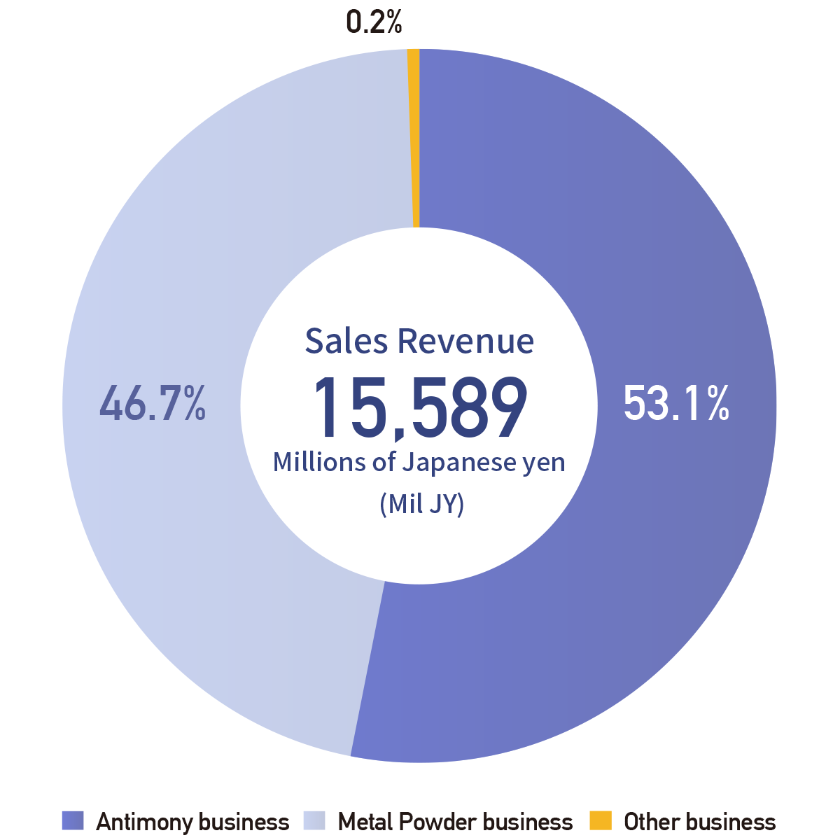 Sales Revenue by Business Segment (Full year)
